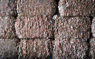 USA PHOTO SET WORLD ENVIRONMENT DAY 2023 PLASTIC WASTES