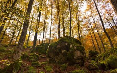 Le bandiere verdi per il turismo sostenibile