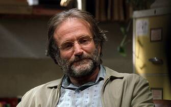 Robin Williams in Will Hunting