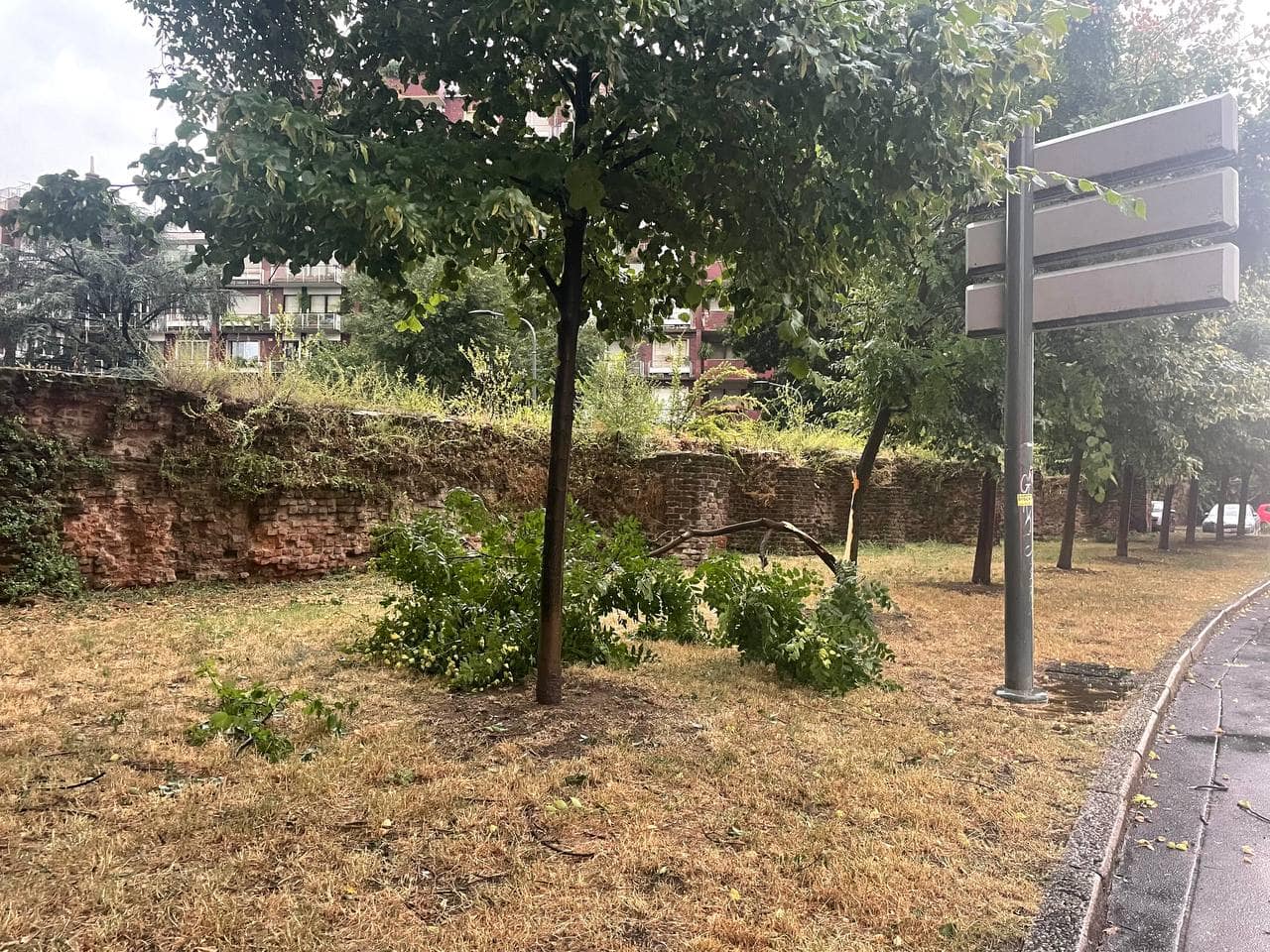 Alberi rotti a Milano a causa del forte vento, zona porta Romana, Milano