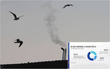 collage: grafica e smog