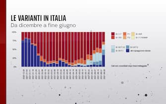 Grafiche coronavirus: le varianti in Italia