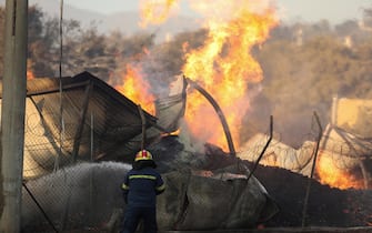 epaselect epa11546914 A firefighter tries to extinguish a wildfire engulfing a firewood business, in Penteli, northeast of Athens, Greece, 12 August 2024. The wildfire that broke out in Varnavas on 11 August afternoon continued to rage in eastern Attica on 12 August, fanned and spread to a front extending more than 20 kilometers. According to the fire department, the fire-fighting effort is extremely difficult as the wind keeps changing direction, while the three main fronts of concern are in Grammatiko, Penteli and the Anatoli settlement in Nea Makri.  EPA/GEORGE VITSARAS