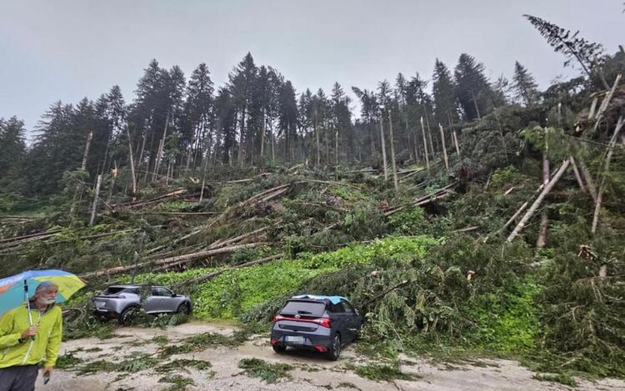 maltempo-sulle-montagne-del-veneto-tromba-d-aria-devasta-il-cadore
