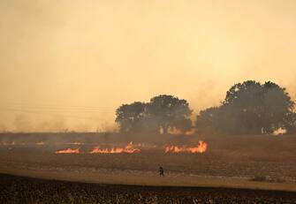 GREECE WILDFIRE