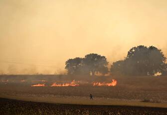 epa10811577 A firefighter walks near flames during a wildfire in the Avanta area, near Egnatia Odos motorway, in Alexandroupolis, Thrace, northern Greece, 21 August 2023. The wildfire that broke out early on 19 August in a forest in the Melia area of Alexandroupolis has spread rapidly due to the strong winds blowing in the area and is raging uncontrolled.The major wildfire in Alexandroupolis continues with unabated intensity for the third consecutive day. According to the Fire Department, the fire is difficult to be contained due to the strong winds in the area.  EPA/DIMITRIS ALEXOUDIS