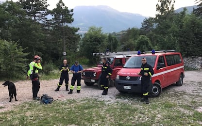 Trentino, emesso ordine di cattura per l'orso che ha ferito un uomo