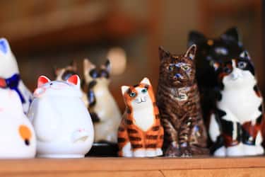 10. Il Tempio Miao Miao di Kyoto