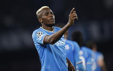 NAPLES, ITALY - FEBRUARY 21: Victor Osimhen of SSC Napoli celebrates after scoring his team's first goal during the UEFA Champions League 2023/24 round of 16 first leg match between SSC Napoli and FC Barcelona at Stadio Diego Armando Maradona on February 21, 2024 in Naples, Italy. (Photo by Matteo Ciambelli / DeFodi Images via Getty Images)