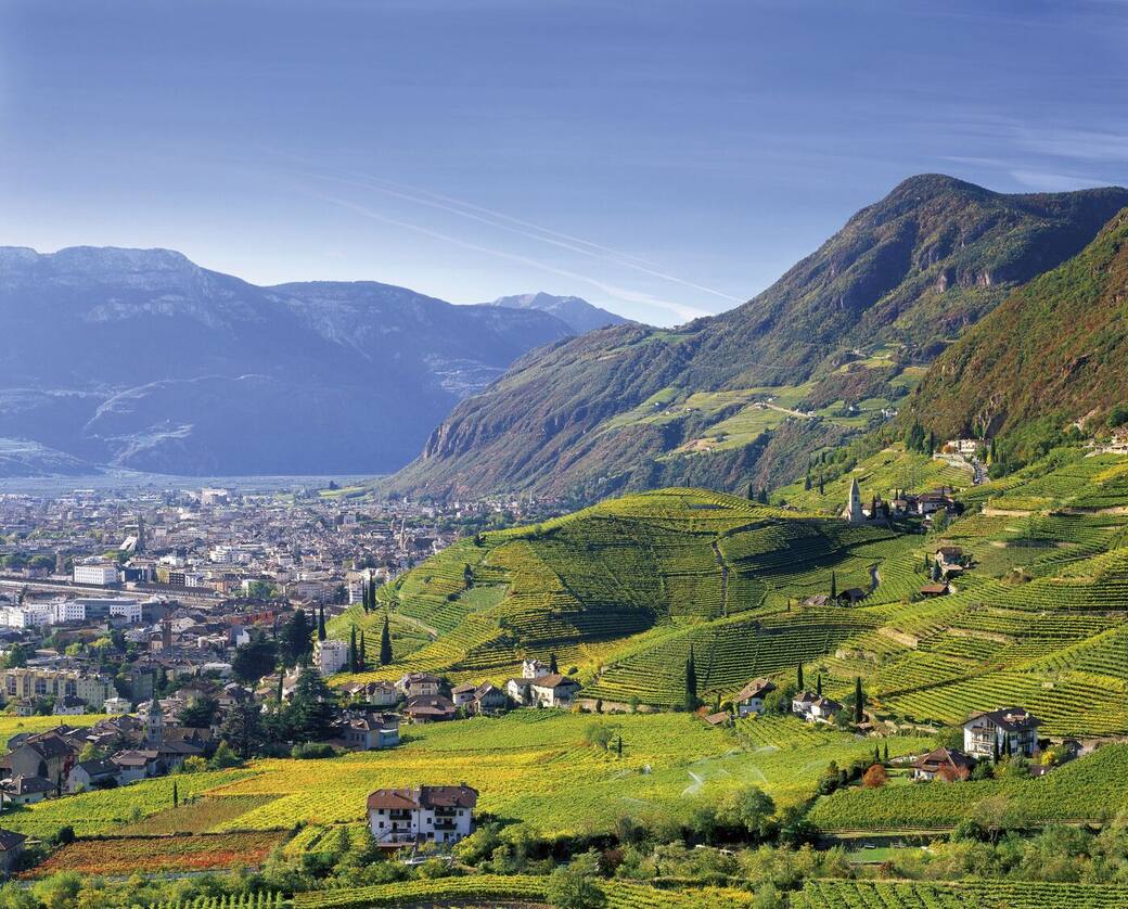 Bolzano vineyard. Copyright Tourist board of Bolzano - Clemens Zahn Weinstadt
