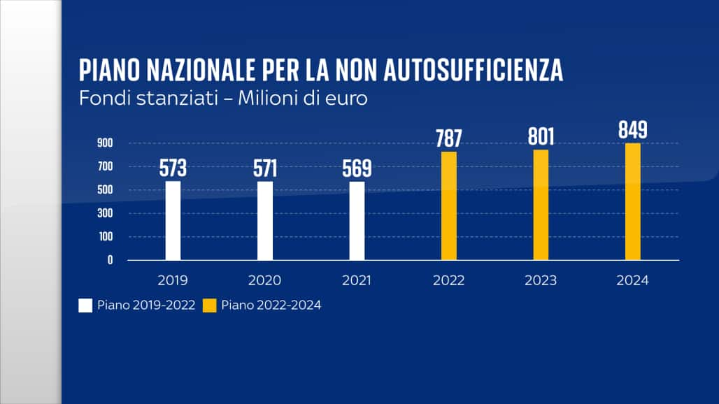 Piano nazionale per la non autosufficienza