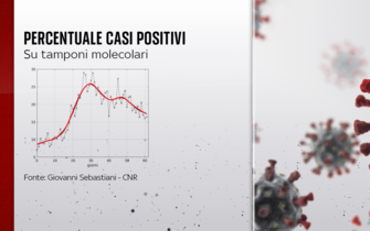 percentuale casi positivi