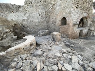 A prison - bakery, where enslaved people and donkeys were locked up and exploited to grind the grain needed to produce bread. A narrow room with no external view, with small windows with iron grates for the passage of light. And carvings in the floor to coordinate the movement of the animals, forced to wander around for hours blindfolded. The plant emerged in Regio IX, insula 10, where excavations are underway as part of a broader project to secure and maintain the fronts that surround the still uninvestigated area of ??the ancient city of Pompeii.
ANSA/Us Parco Archeologico di Pompei ANSA PROVIDES ACCESS TO THIS HANDOUT PHOTO TO BE USED SOLELY TO ILLUSTRATE NEWS REPORTING OR COMMENTARY ON THE FACTS OR EVENTS DEPICTED IN THIS IMAGE; NO ARCHIVING; NO LICENSING NPK