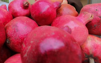 Torino, Torna dopo quattro anni "Il Salone del Gusto e Terra Madre", la kermesse dedicata al cibo, che per la prima volta lascia i padiglioni del Lingotto Fiere e si mostra in tutto il suo splendore di colori, etnie, culture e sapori in centro città. (Elena Aquila / IPA/Fotogramma, Torino - 2016-09-24) p.s. la foto e' utilizzabile nel rispetto del contesto in cui e' stata scattata, e senza intento diffamatorio del decoro delle persone rappresentate