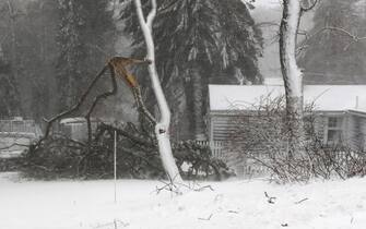 Tempesta di neve