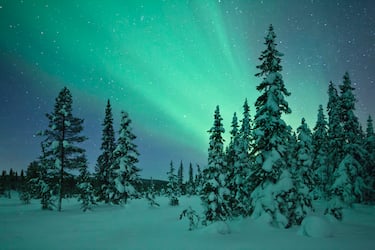Nel cuore della Lapponia Svedese e della cultura Sami
