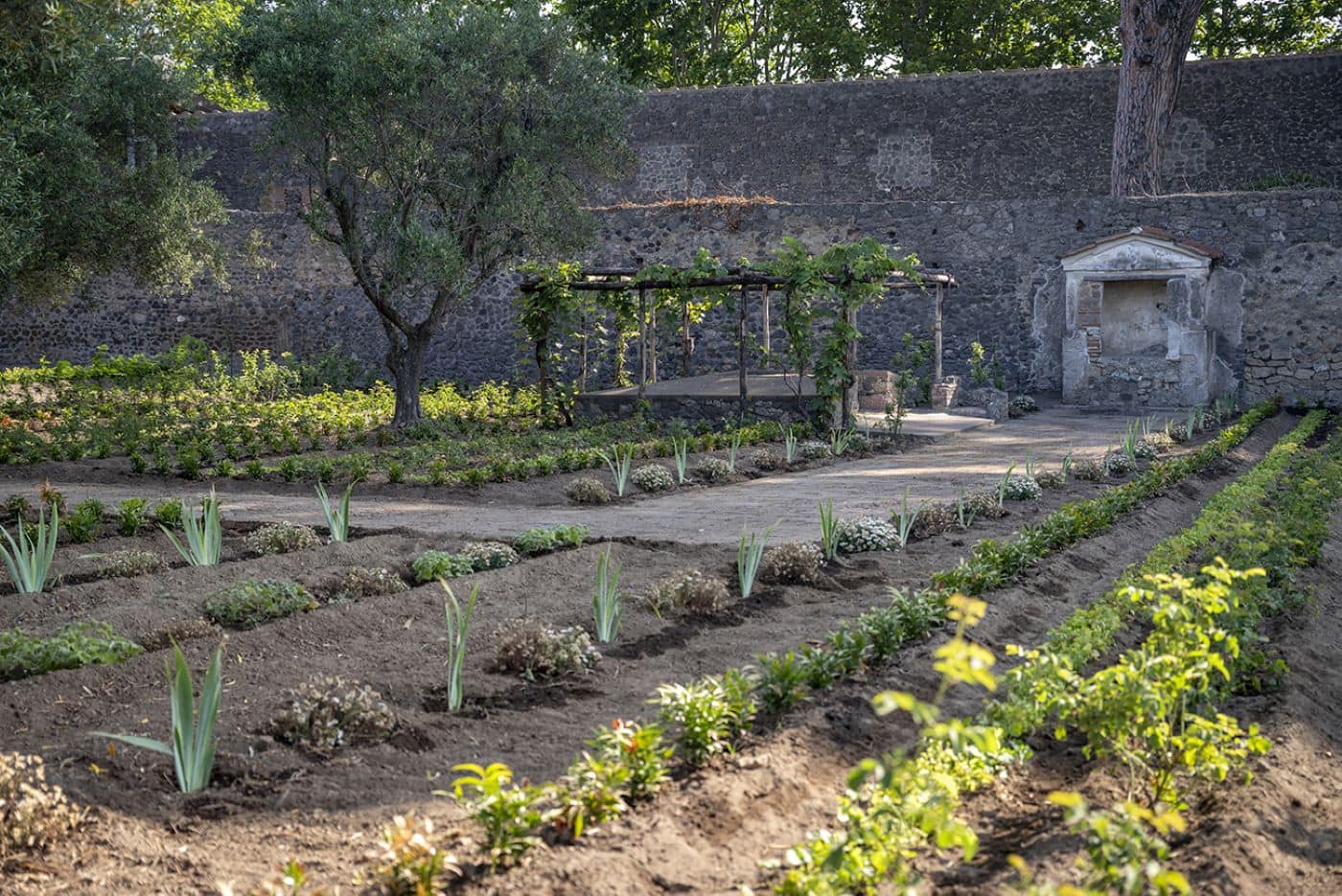 Pompei, la casa del giardino di Ercole. Per gentile concessione del Parco Archeologico di Pompei