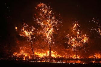 USA CALIFORNIA FIRE