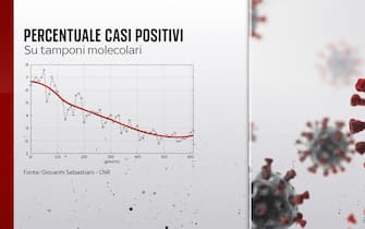 Grafiche coronavirus: percentuale positivi/tamponi fatti