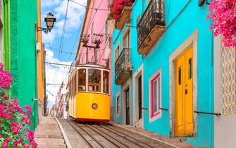 Lisbon, Portugal - Yellow tram on a street with colorful houses and flowers on the balconies - Bica Elevator going down the hill of Chiado