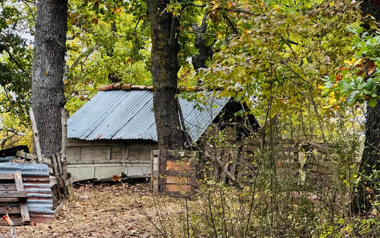 Famiglia nel bosco, accertamenti del ministero della Giustizia dopo allontanamento figli