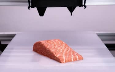 salmone_3d