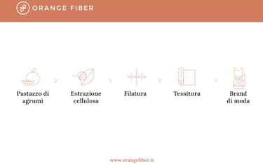 orange_fiber_grafica