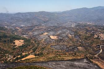 Burnt forest areas following a wildfire near the village of Avantas, Alexandroupolis, Greece, on Monday, Aug. 28, 2023. With more than 72,000 hectares burnt, the Alexandroupolis wildfire in Evros is the largest on record in the EU. Photographer: Konstantinos Tsakalidis/Bloomberg via Getty Images