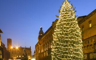 Christmas tree on Piazza del Nettuno in Bologna, Italy