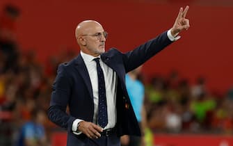 epa10915815 Spain's head coach Luis de la Fuente gestures during the UEFA EURO 2024 Group A qualifying soccer match between Spain and Scotland, in Seville, Spain, 12 October 2023.  EPA/Julio Munoz