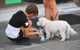 Un bambino cerca di dissetare il suo cane a Genova, 02 agosto 2018. ANSA/LUCA ZENNARO