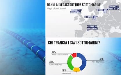 Cavi danneggiati nel Mar Rosso, strategici per Internet ma vulnerabili