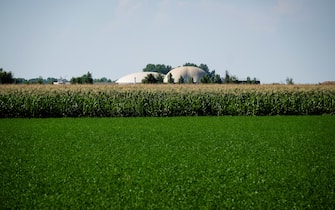 biogas