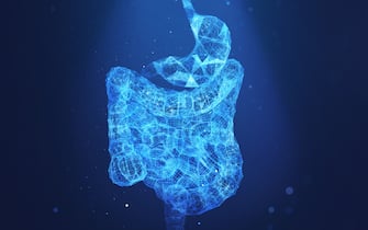 Abstract plexus human stomach on a dark blue background.