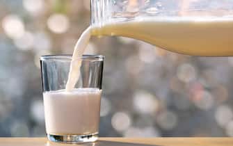 latte