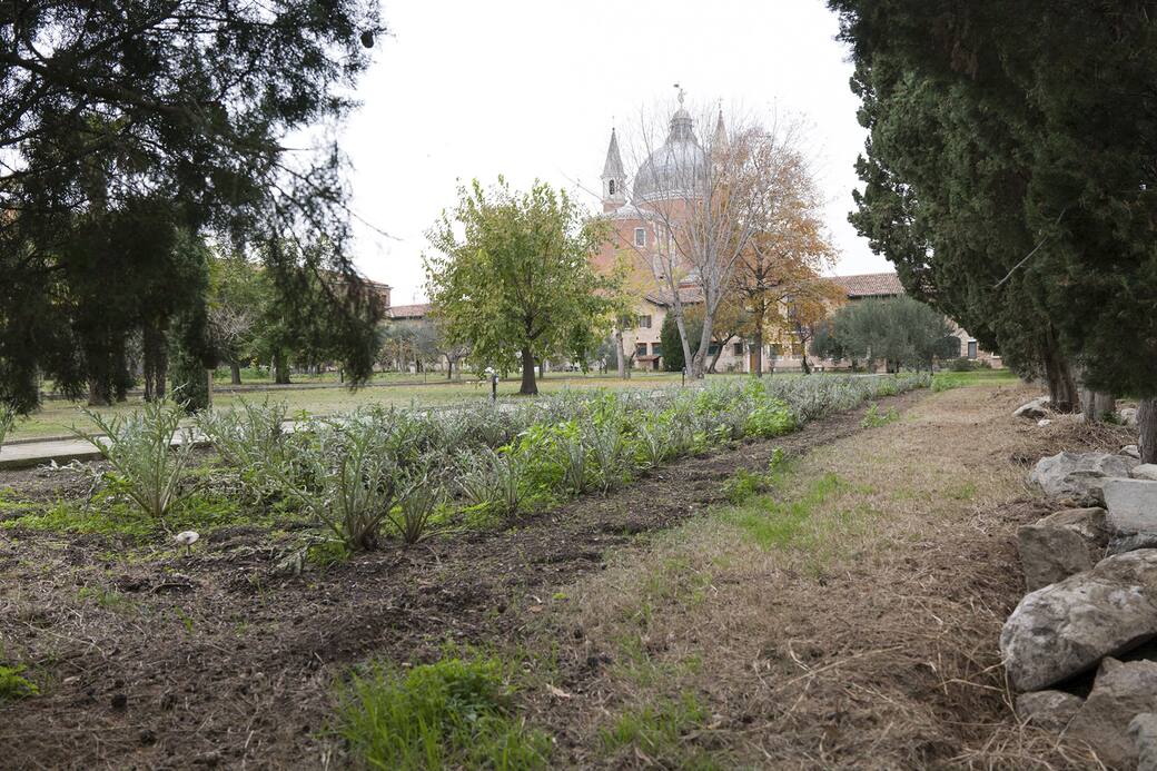 8_Redentore_Venezia_Orto_Giardino_-_Vista_nord_Cynthia_Giard_Préfontaine_2022.jpg