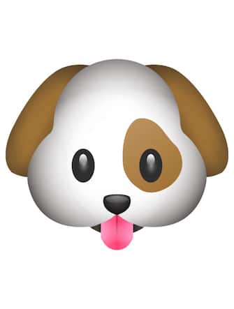 Emoji cane