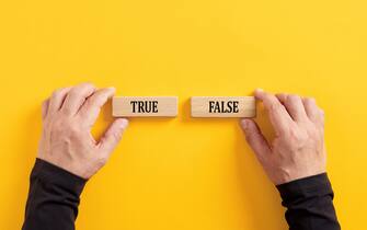 Dilemma or choice between the true and false information. Hands holding wooden blocks with the words true and false.