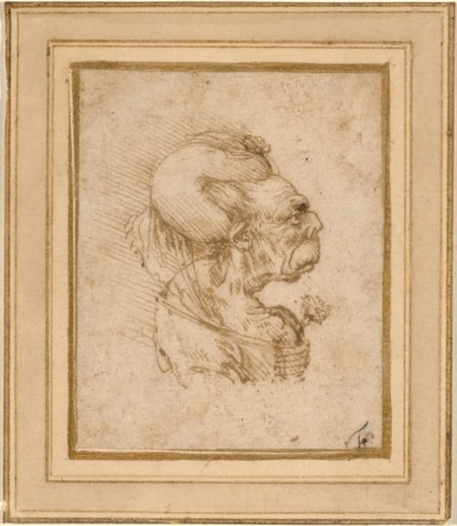 leonardo.jpg
