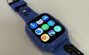 Verdetto, disponibilità, prezzi