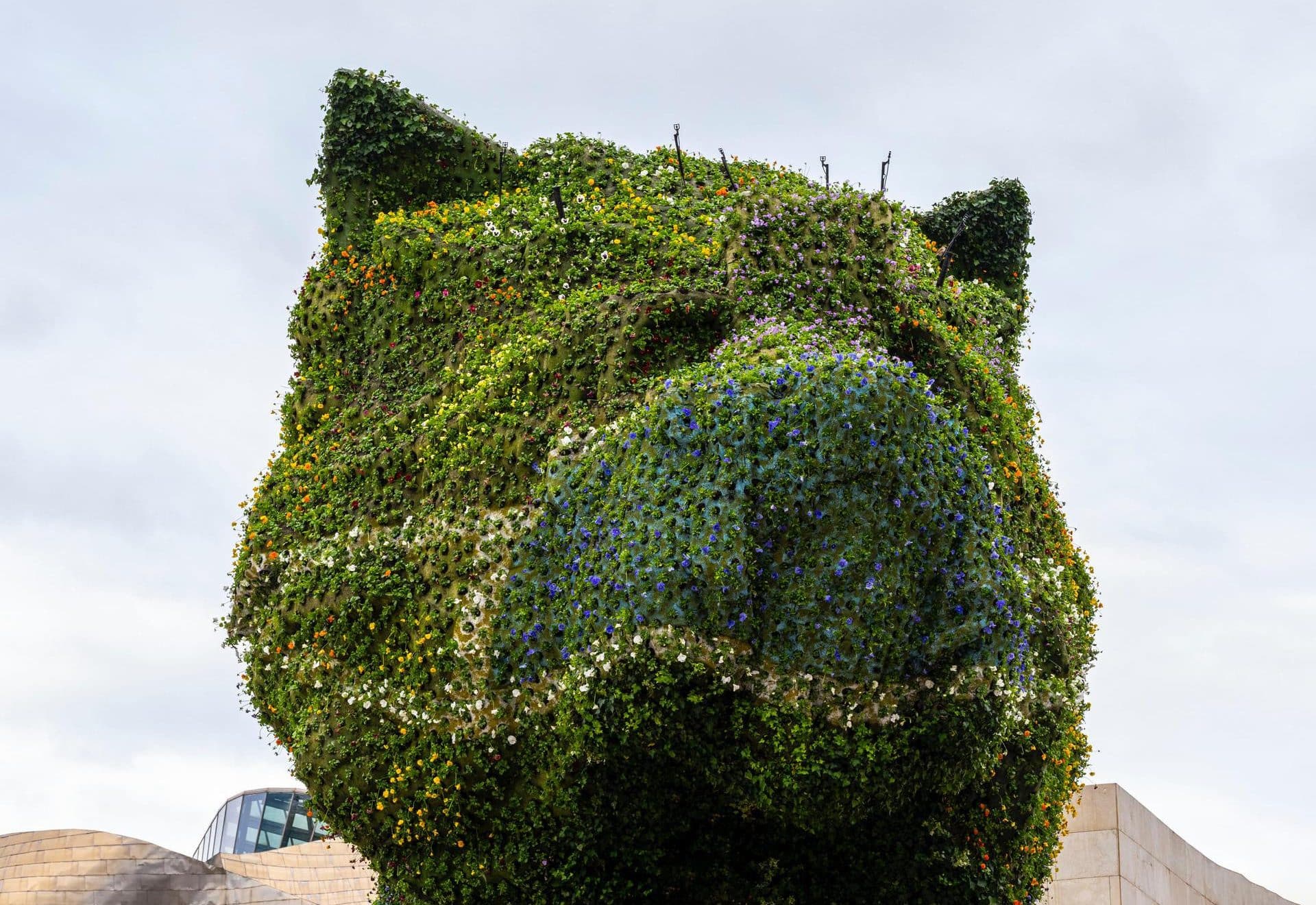 Jeff-Koons-Puppy-1992.-Guggenheim-Bilbao-Museo.-Photo-Erika-Ede-e1603965676776.jpg