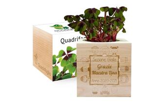 EcoCube personalizzabile