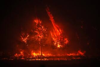 USA CALIFORNIA FIRE