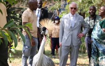 Il principe Carlo in Ruanda