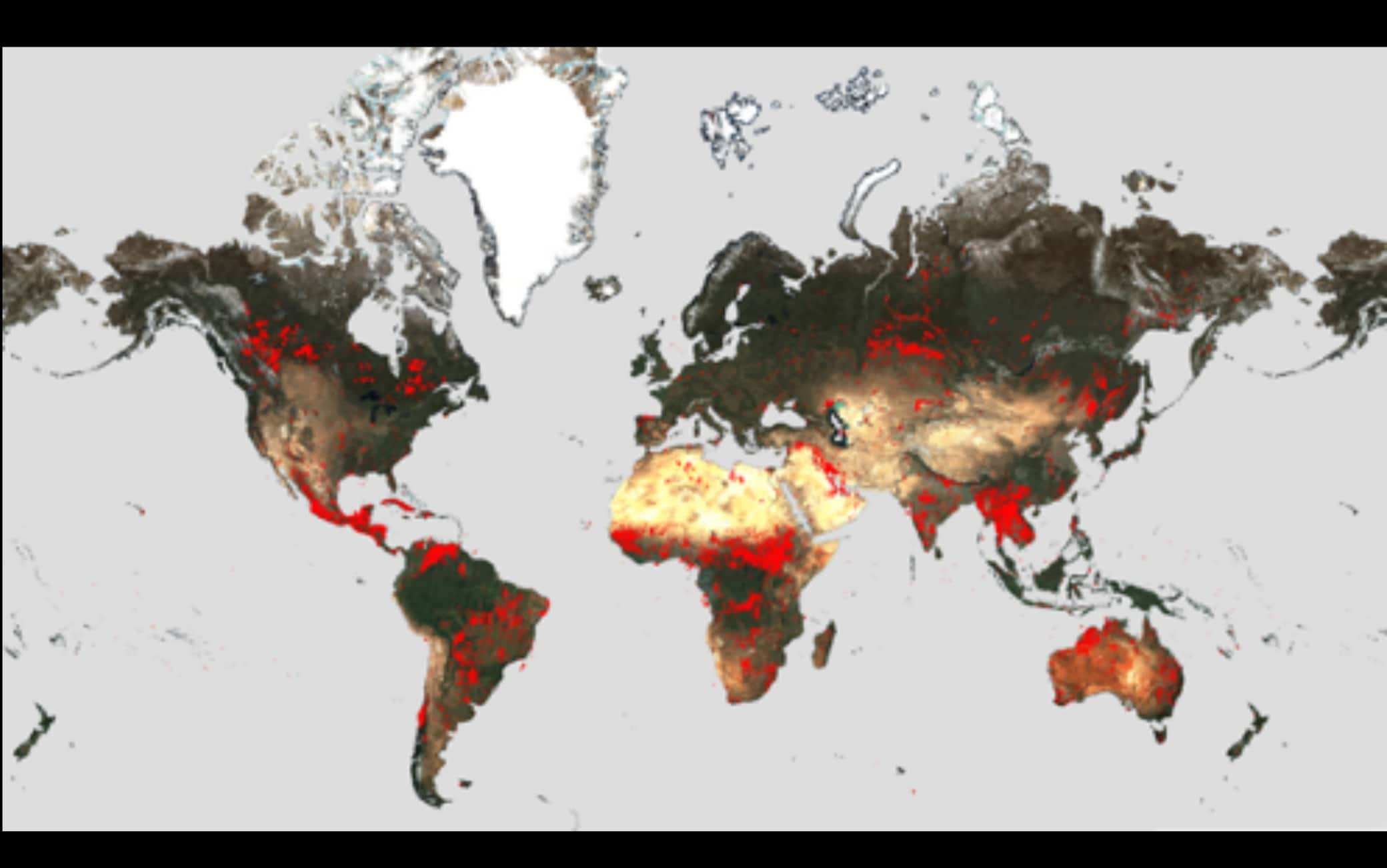 Incendi in tutto il mondo dal World Fire Atlas dell’ESA