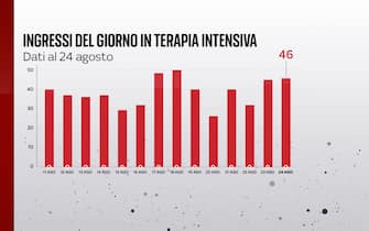 Ingressi in terapia intensiva