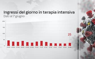 Nel grafico l'andamento degli ingressi giornalieri in terapia intensiva