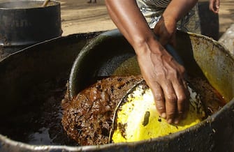 olio di palma