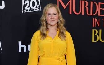 Amy Schumer