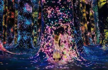 teamLab Phenomena Abu Dhabi